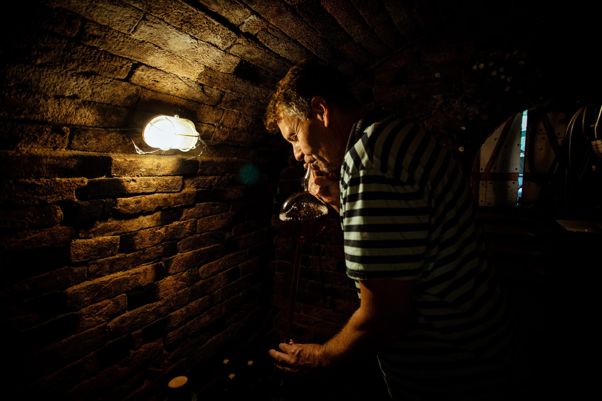 wine cellar moravia